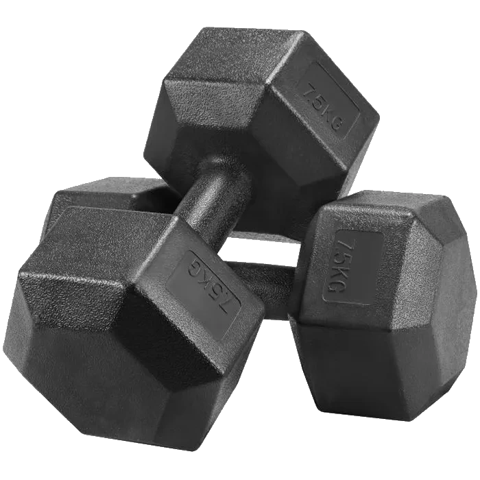 Haltères pour Musculation